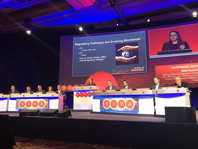 Misti Malone speaks at VIVA 2019